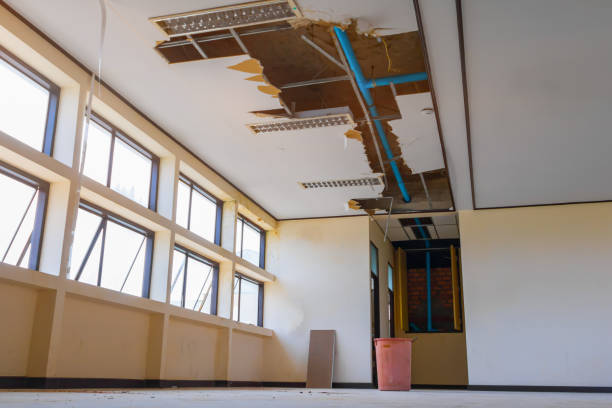 Best Sewage cleanup and water damage restoration  in Rockledge, PA