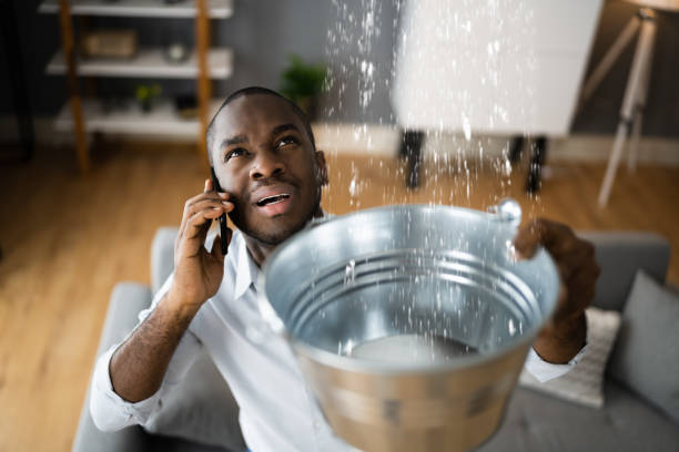 Best Flooded house restoration  in Rockledge, PA