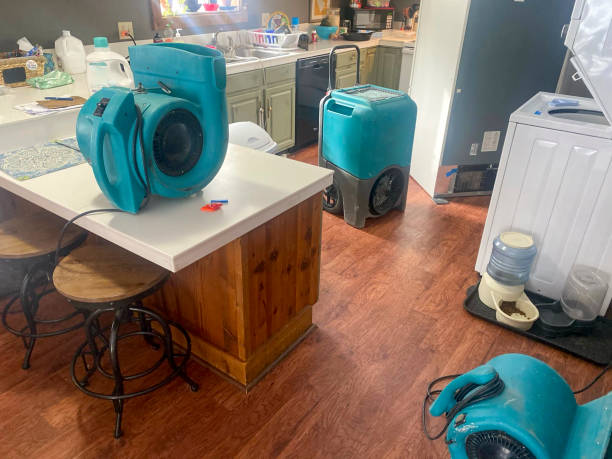 Best Emergency water damage restoration  in Rockledge, PA