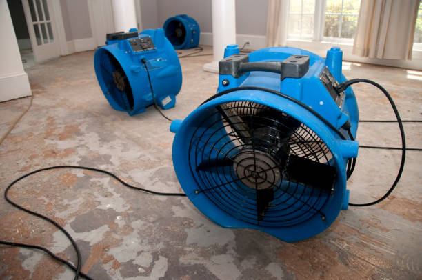Best Carpet water damage restoration  in Rockledge, PA