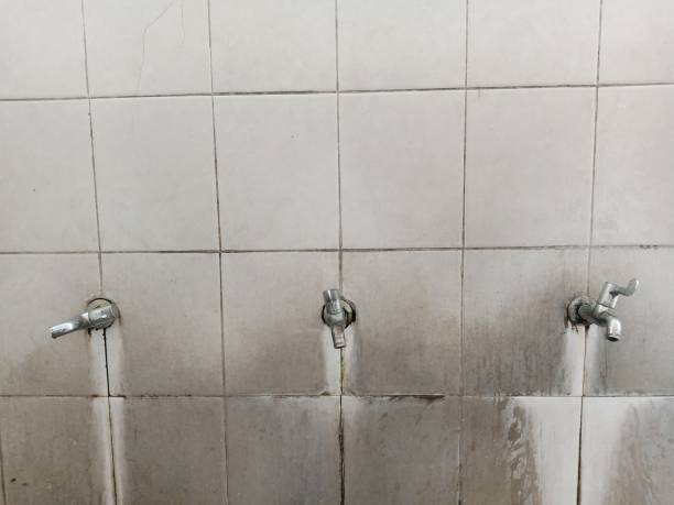 Best Basement water damage restoration  in Rockledge, PA