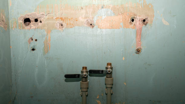 Best Local water damage restoration  in Rockledge, PA
