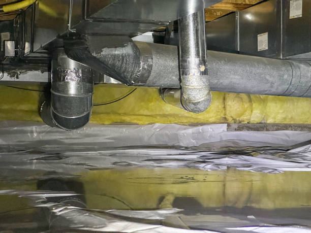 Best Sewage cleanup and water damage restoration  in Rockledge, PA