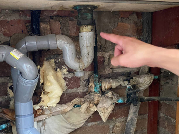 Best 24/7 water damage repair  in Rockledge, PA