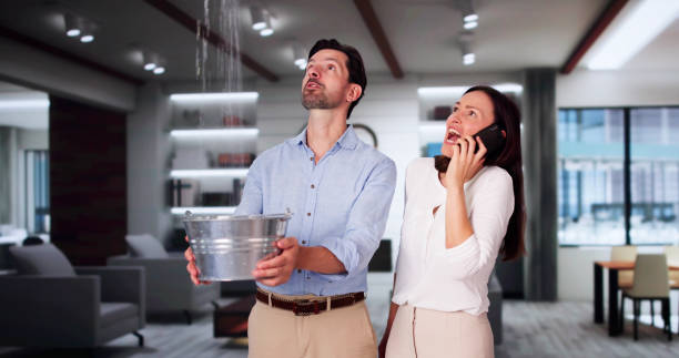 Best Residential water damage restoration  in Rockledge, PA