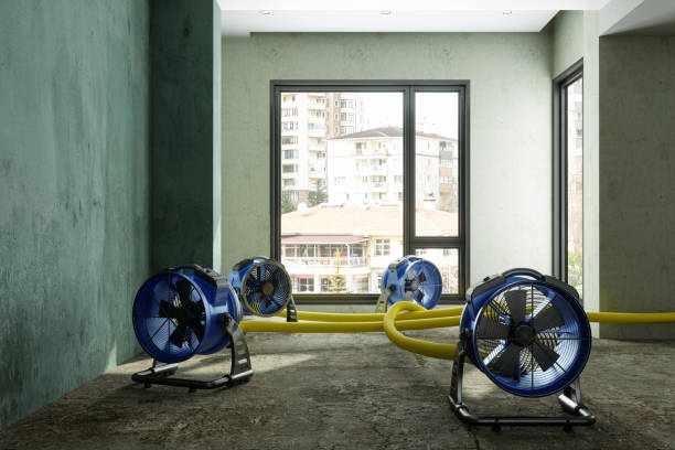 Best Fire Damage Restoration  in Rockledge, PA