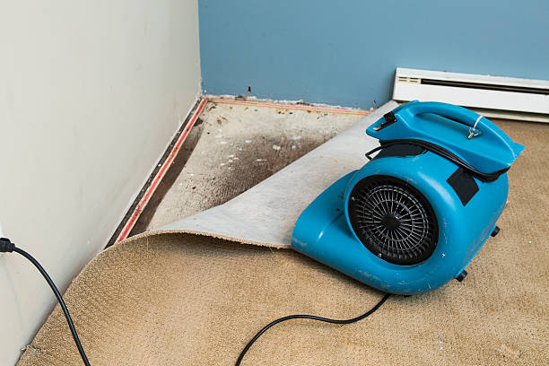  Rockledge, PA Water damage restoration Pros